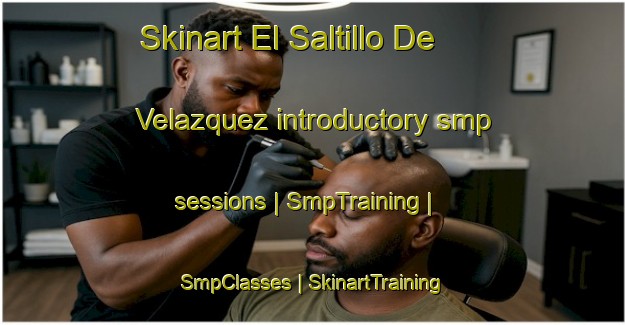 Skinart El Saltillo De Velazquez introductory smp sessions | SmpTraining | SmpClasses | SkinartTraining-Mexico
